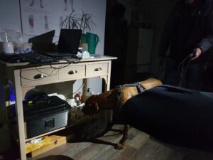 detectie donker uitdaging