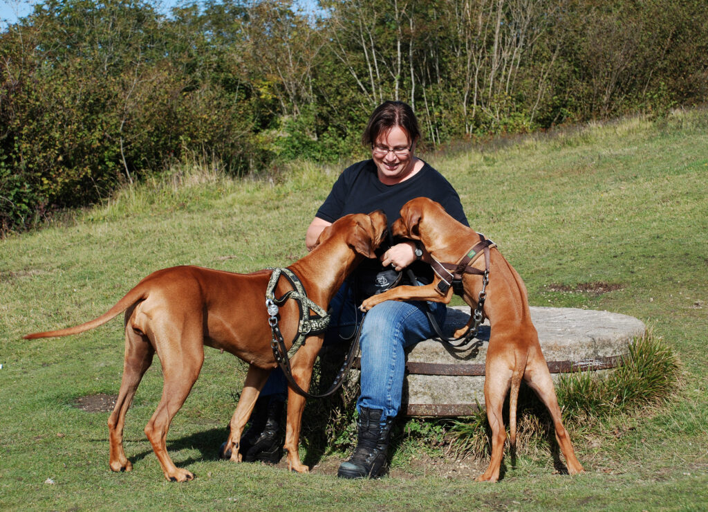 Hond plezier Engeland Kent