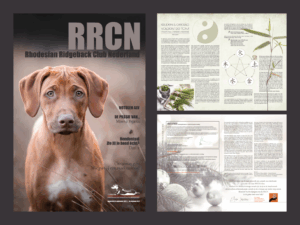 kruiden hond gedrag voeding