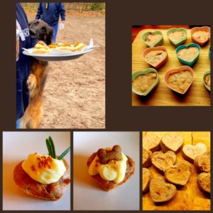 cake hond snack gezond