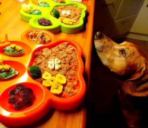 Valentijnsdag hond lekker gezond