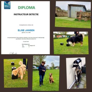 instructeur diploma detectie